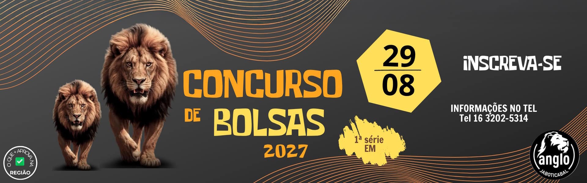 Concurso de Bolsas 2027